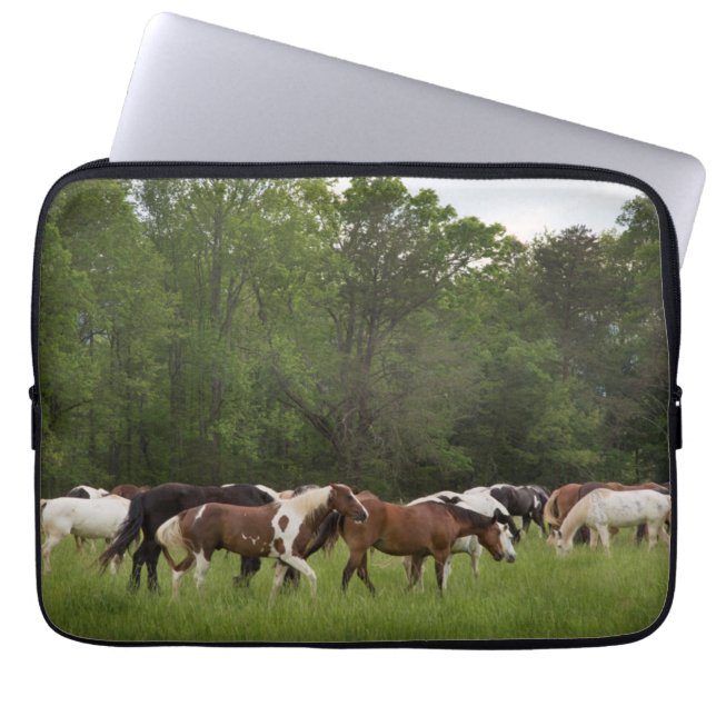 Funda Para Portátil Manada de caballos, Tennessee (Frente)