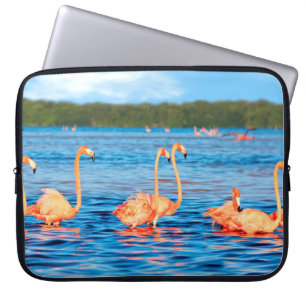 Funda Para Portátil Manadas de hermosos flamencos rosas en Celestun