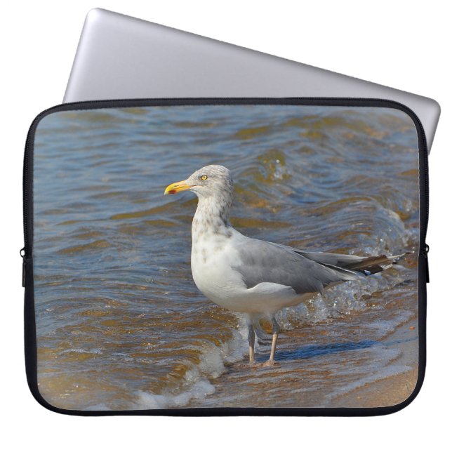 Funda Para Portátil Manga de gaviota (Frente)