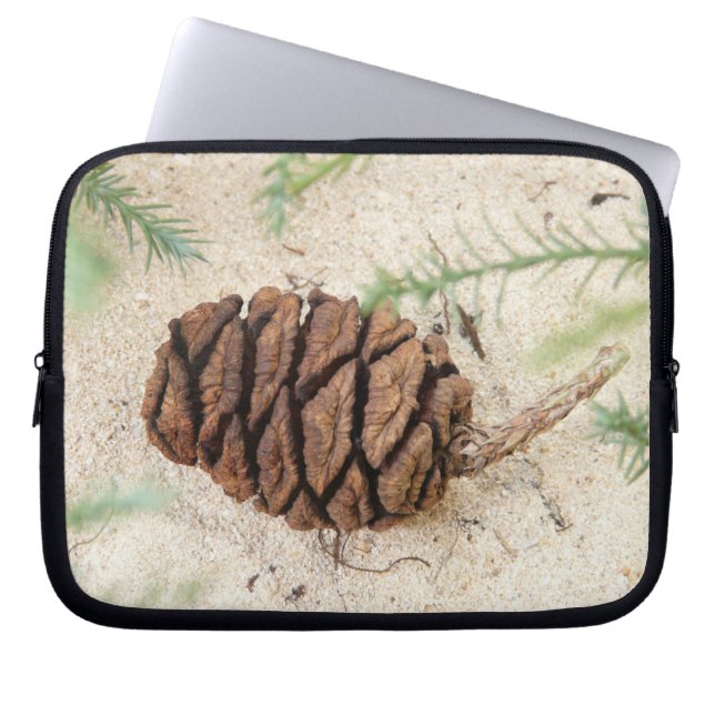 Funda Para Portátil Manga de la laptop Sequoia Cone (Frente)