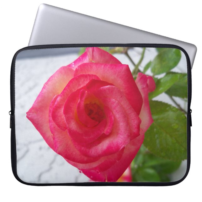 Funda Para Portátil Manga de neopreno con rosa rosado (Frente)