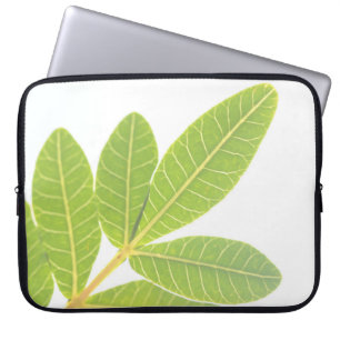Funda Para Portátil Manga de portátil del patrón holístico de la plant
