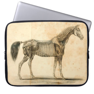 Funda Para Portátil Manga del ordenador portátil de la anatomía del