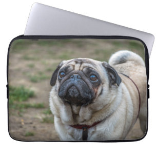 Funda Para Portátil Manga del portátil Pug dog