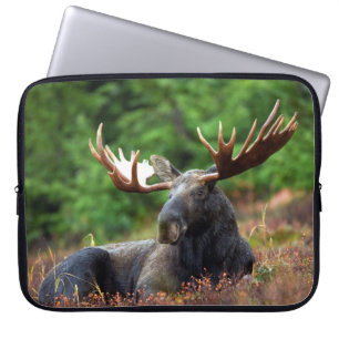 Funda Para Portátil Manga para portátiles Moose