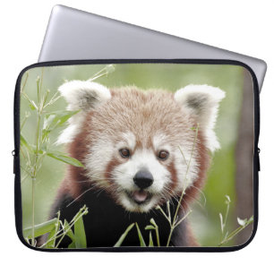 Funda Para Portátil manga portátil Foto panda roja , animales.
