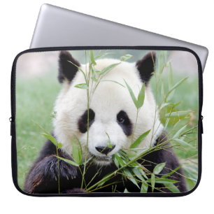 Funda Para Portátil manga portátil Photo gigante panda , animales.