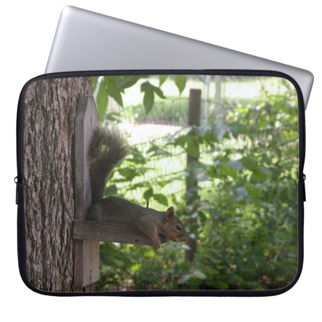 Funda Para Portátil Mangas de gafas para portátiles de las ardillas (Frente)