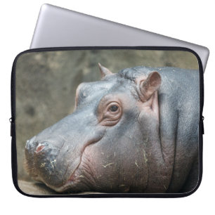 Funda Para Portátil Mangas para portátil Hippotamus