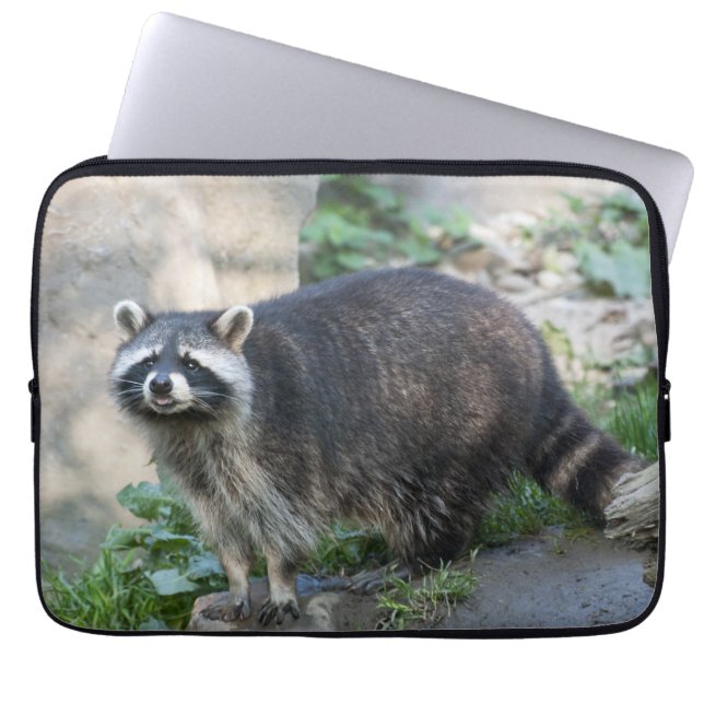 Funda Para Portátil Mapache (Frente)