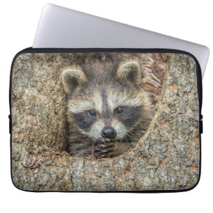 Funda Para Portátil Mapache en el interior de un hueco de un árbol