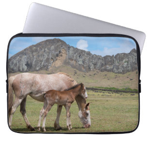 Funda Para Portátil Mare y Colt en el cráter volcánico de Rano Raraku