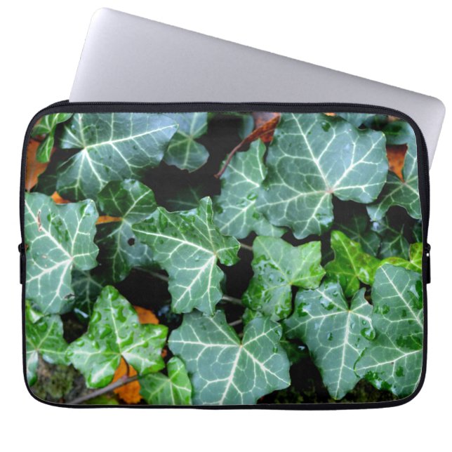 Funda Para Portátil Marfil botánico verde y piedra de campo (Frente)
