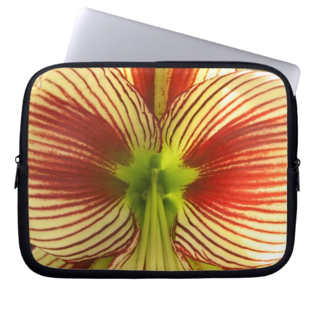 Funda Para Portátil Mariposa Amaryllis (Frente)