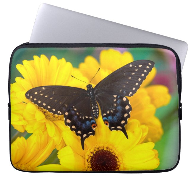 Funda Para Portátil Mariposa de cola de cerda negra (Frente)