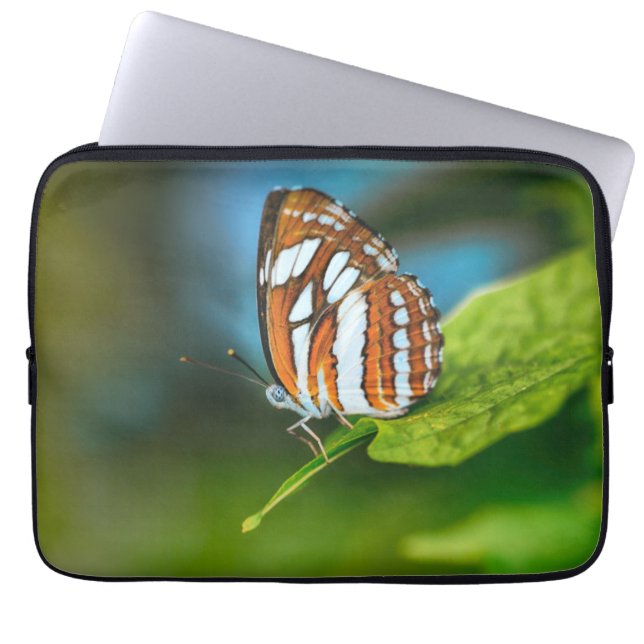 Funda Para Portátil Mariposa rayada blanca y Naranja (Frente)