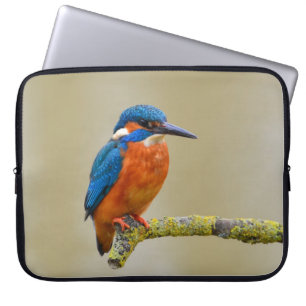 Funda Para Portátil Martín pescador que se encarama