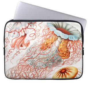 Funda Para Portátil Medusas, Discomedusae por Ernst Haeckel