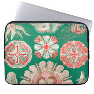 Funda Para Portátil Medusas, Discomedusae por Ernst Haeckel