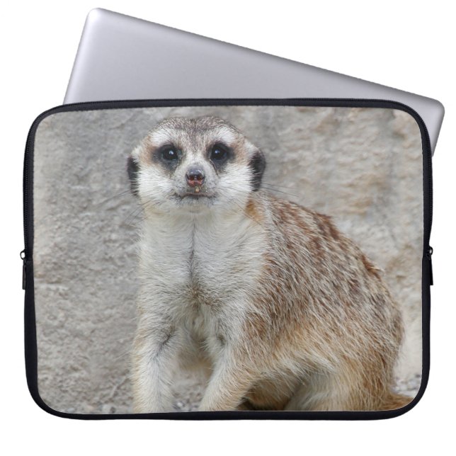 Funda Para Portátil Meerkat 134 (Frente)