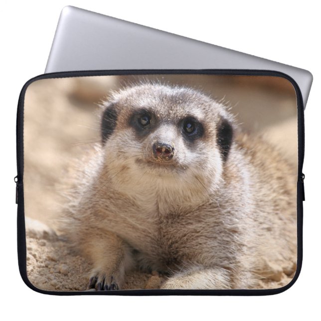 Funda Para Portátil Meerkat 174 (Frente)