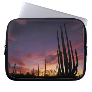 Funda Para Portátil México, Baja del Norte, Catavina Desierto Nacional
