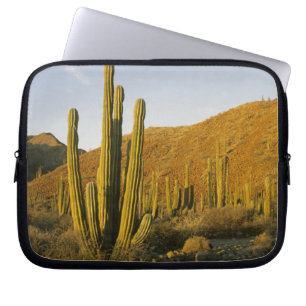 Funda Para Portátil México, Baja, Isla Santa Catalina, Mar de