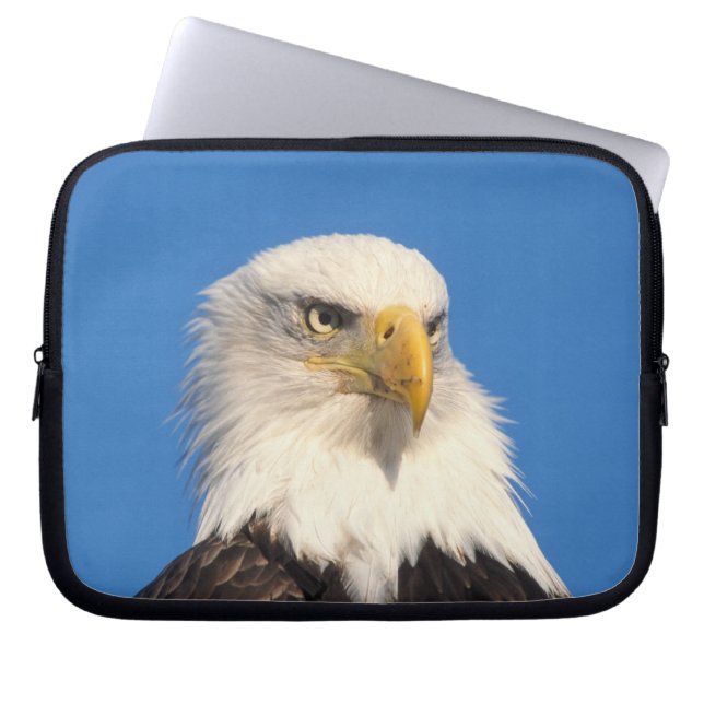 Funda Para Portátil Mirada del águila calva (Frente)