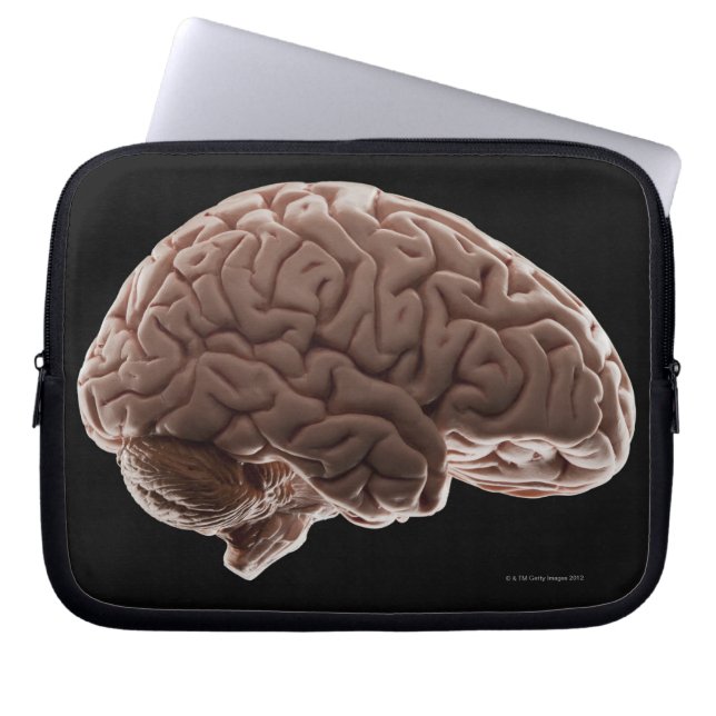 Funda Para Portátil Modelo de cerebro humano, toma de estudio (Frente)