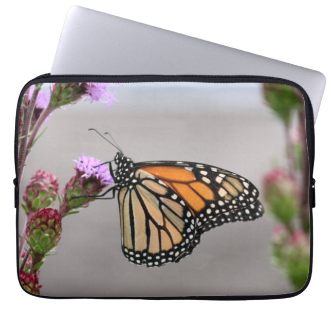 Funda Para Portátil Monarca (Frente)