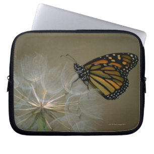 Funda Para Portátil Monarca en el diente de león