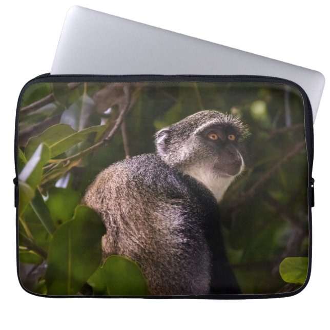 Funda Para Portátil Mono azul, Zanzíbar (Frente)