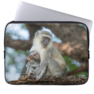 Funda Para Portátil Mono verde en la vida salvaje africana