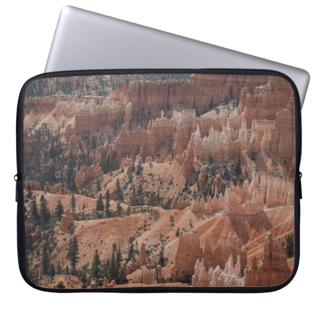 FUNDA PARA PORTÁTIL MONTAÑA COLORIDA (Frente)
