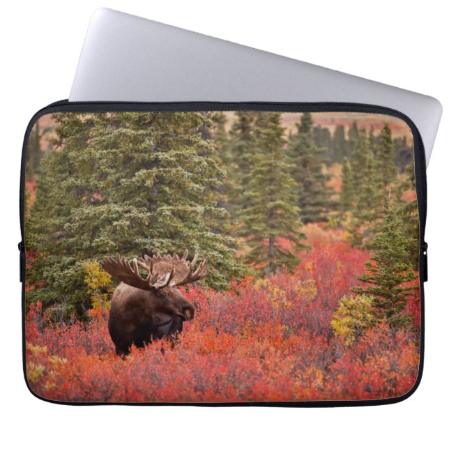 Funda Para Portátil Moose De Toro De pie en Birch Enano Rojo (Frente)