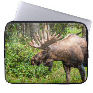 Funda Para Portátil Moose   Península de Kenai, Alaska