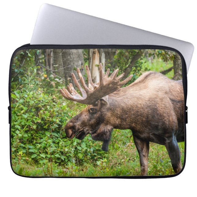 Funda Para Portátil Moose | Península de Kenai, Alaska (Frente)