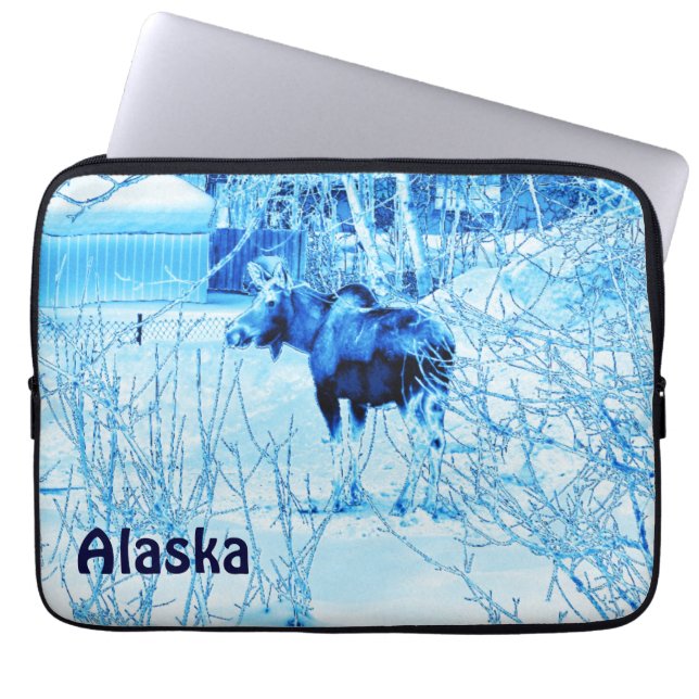 Funda Para Portátil Moose urbano (Frente)