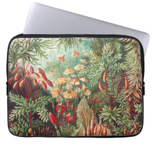 Funda Para Portátil Mosses, muscinae Laubmoose por Ernst Haeckel