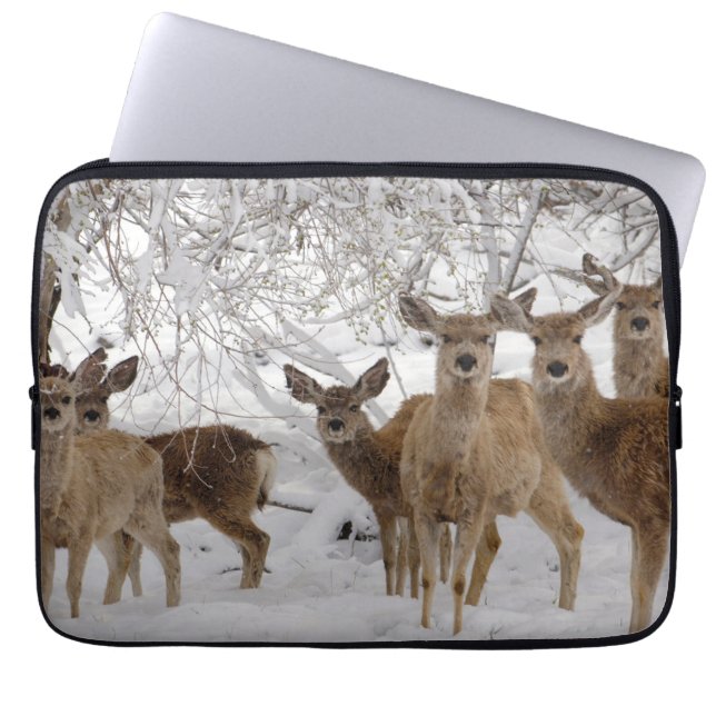 Funda Para Portátil Mule Deer Wyoming (Frente)