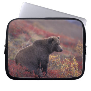 Funda Para Portátil NA, EE. UU., Alaska, Parque Nacional Denali. Una h