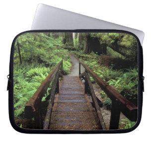 Funda Para Portátil NA, EE. UU., California, Jedidiah Smith Redwoods