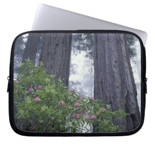Funda Para Portátil NA, EE. UU., California. Parque Estatal Costa Del