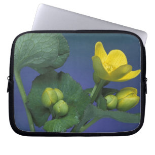 Funda Para Portátil NA, EE. UU., Michigan, Rochester Hills. Marisma