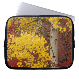 Funda Para Portátil NA, EE. UU., Washington, Bosque Nacional Wenatchee