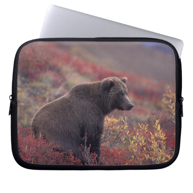 Funda Para Portátil NA, USA, Alaska, Denali NP. Una mujer parda (Frente)