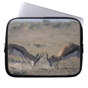 Funda Para Portátil Namibia, Parque Nacional Etosha, Dos machos