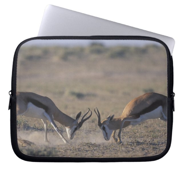 Funda Para Portátil Namibia, Parque Nacional Etosha, Dos machos (Frente)