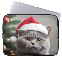 Navidades de Shorthair del Reino Unido