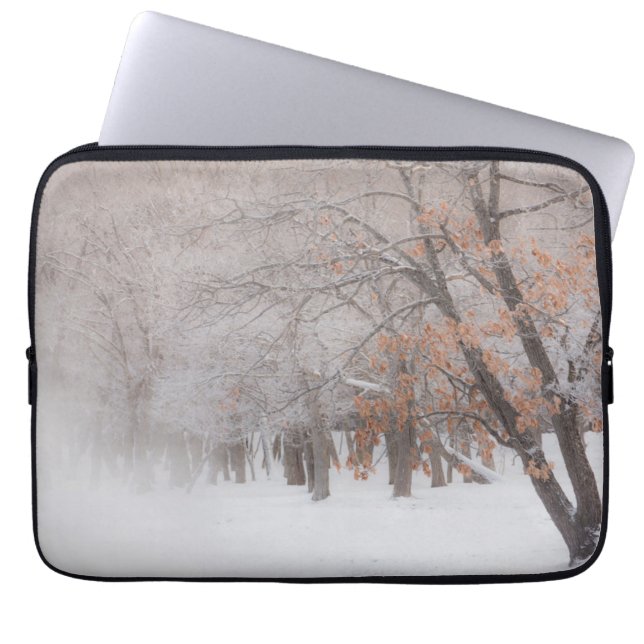 Funda Para Portátil Nieve de invierno | Lago Kussharo (Frente)